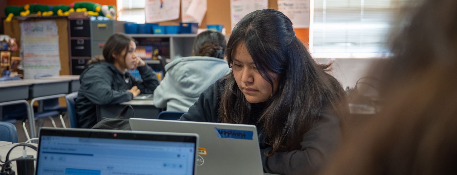 Students working on laptops in class.