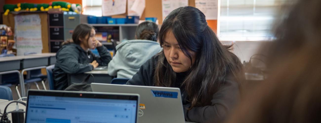 Students working on laptops in class.